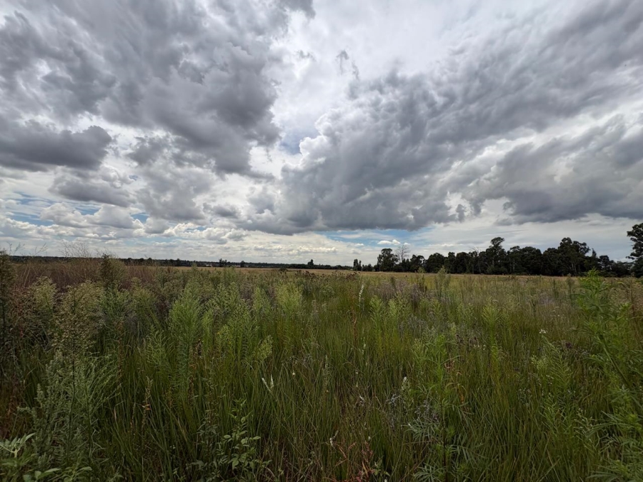 0 Bedroom Property for Sale in Vaalpark Free State